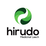 Hirudo